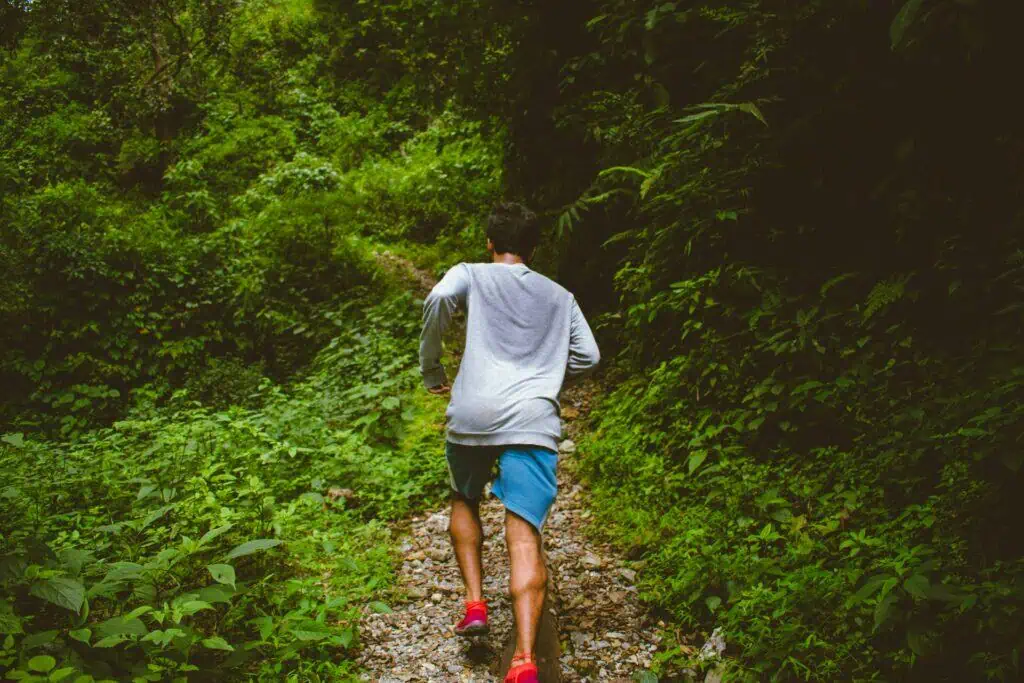 蚊子喜歡的味道？為什麼會被叮？